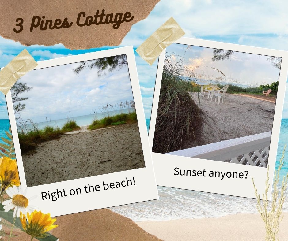 Living the Dream On Anna Maria Island